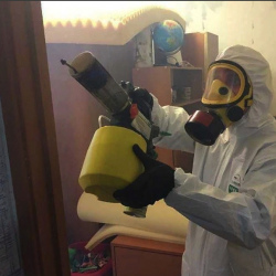 Уничтожение клопов в квартире. Савёловская